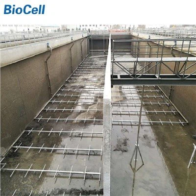 Bộ khuếch tán bong bóng thô cho lưu vực cân bằng